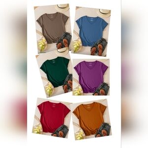 6pk. Plus Size V-Neck T-Shirts: Purple, Red, Blue, Dark Green, Mocha, Pumpkin
